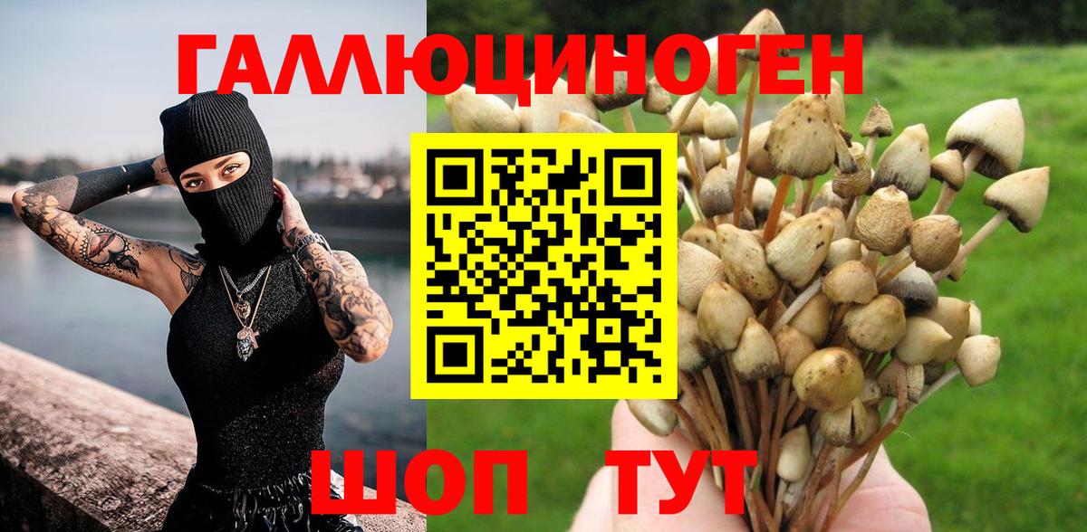 Псилоцибиновые грибы ЛСД Комсомольск-на-Амуре