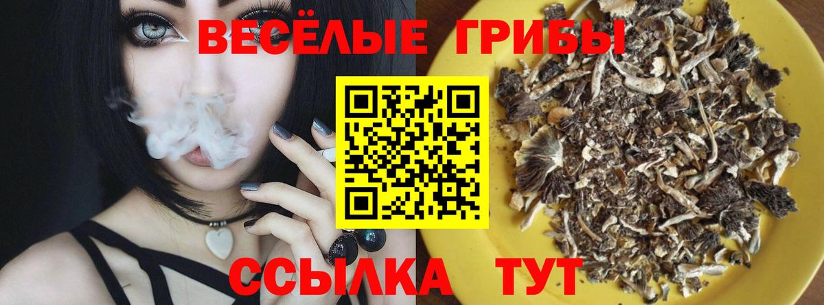 Галлюциногенные грибы Psilocybine cubensis  Вход с VPN  где купить наркотик  Комсомольск-на-Амуре  Галлюциногенные грибы Psilocybine cubensis 